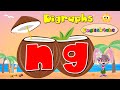 Digraphs/Final Sound/ng/Phonics Song