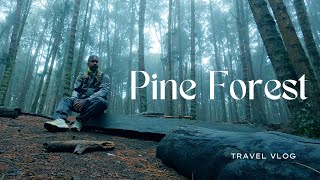 Travel VLOG - Pine Forests (Escaping the noise, submitting to Nature's Sounds)