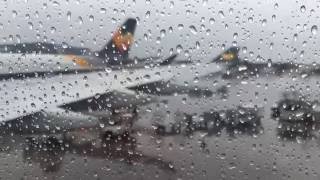 Thomas Cook A330 Economy Class Manchester to Orlando (Full Flight