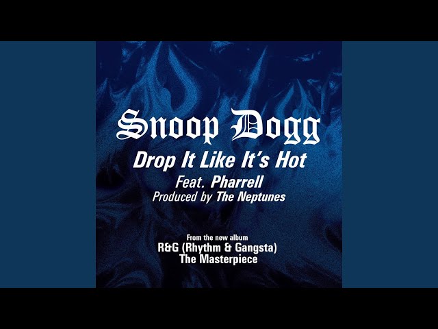 Drop It Like It's Hot (Instrumental) class=