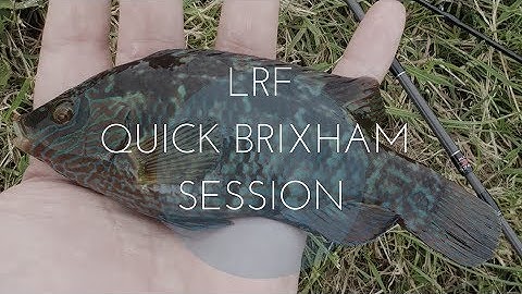 Quick Brixham Session