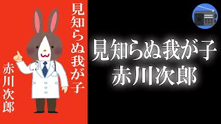 【朗読】「見知らぬ我が子」この子は、あなたの子です 人気作家の元に現れた突然の訪問者【ミステリー・サスペンス赤川次郎】