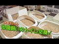 【#20】多頭飼いのトイレ砂は、木質ペレットを使っています！