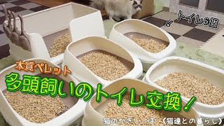 【#20】多頭飼いのトイレ砂は、木質ペレットを使っています！