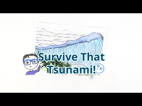 Solved Coastal Worksheet: A. An earthquake causes a Tsunami