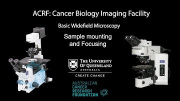 04. Widefield Microscopy Training: Sample Mount and Focus