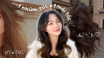 Tips dưỡng một NHÚM TÓC thành một MÁI TÓC ✿ hoá ra dưỡng tóc không cần mệt thế