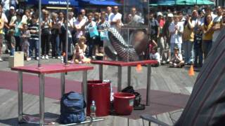 Contortionist in New York City Puts Himself in a Box