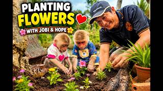 Download lagu Grandpa Nam Plants a Beautiful Flower Garden with Jobi & Hope | The Sweetest Family Day Ever ๐ธ๐
