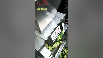 Máy vắt chanh công nghiệp không bị đắng | Máy ép tắc (quất), chanh tự động
