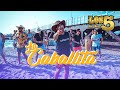 La Caballita - Los 5 de Oro (Videoclip Oficial)