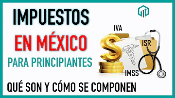 ¿Pagan impuestos en México?