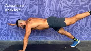 Contralateral plank hold