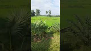Jamane  ko piche ||| hindi status video songs #@