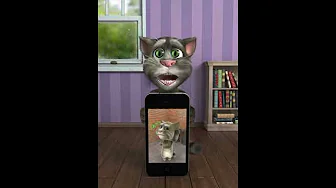 Talking Tom Plays Talking Tom 2
