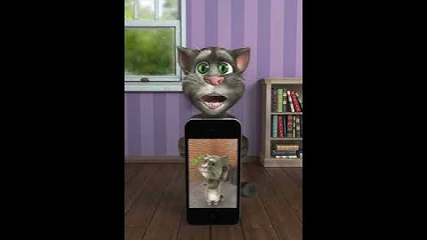 Talking Tom Plays Talking Tom 2