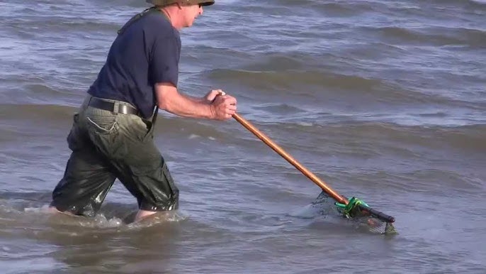 Catching SHRIMP with a CAST NET from a PUBLIC PIER (Catch and Cook) 