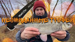 САМЫЙ СТРАННЫЙ ОБЗОР | CRAZY FISH ARION 692ULS 0.6-4 г.