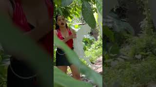 Getting Ready To Slaughter Pig