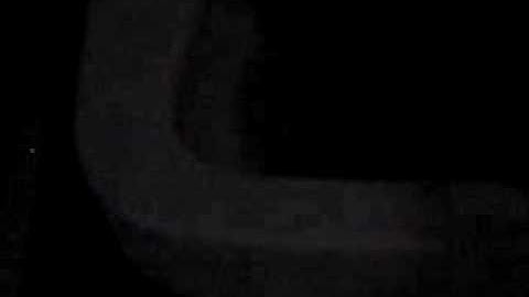 rosensprung Zelluläre Automaten