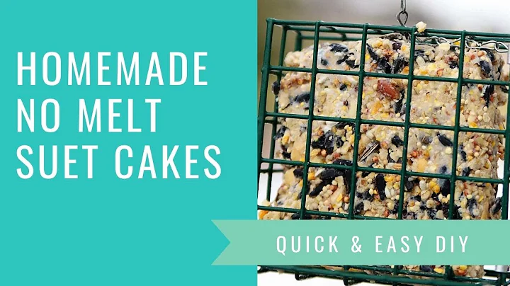 DIY Suet Cakes