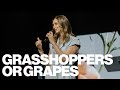 Grasshoppers or grapes  lindsey berteau  the house modesto