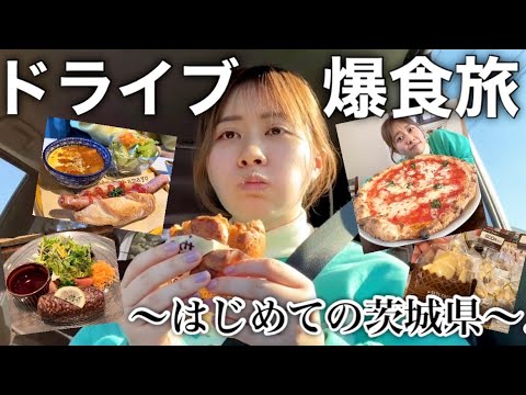 【ドライブで食べ放題】行ったことがない茨城県で美味しいご飯屋さん巡りする！水族館とわんわんランドもいく！5/47