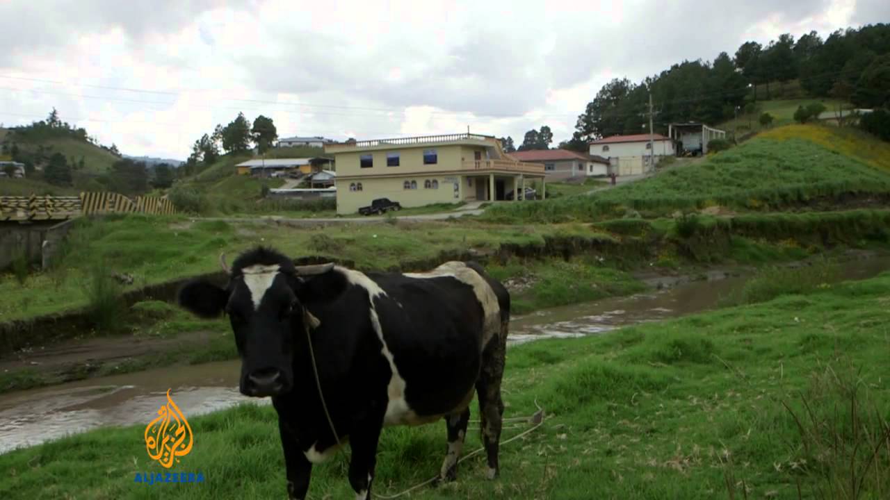 Guatemalans leave country for jobs in US