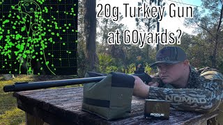 How to Pattern a 20 gauge Turkey Shotgun! Why TSS {Stevens 301/ Rogue TSS/AT3 Red Dot/Carlson .555}