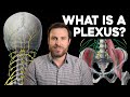 What is a plexus  corporis