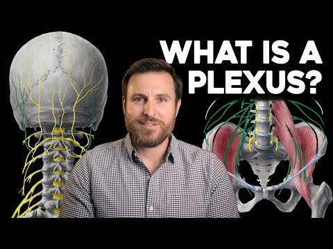 Videó: A plexus jelentésében?