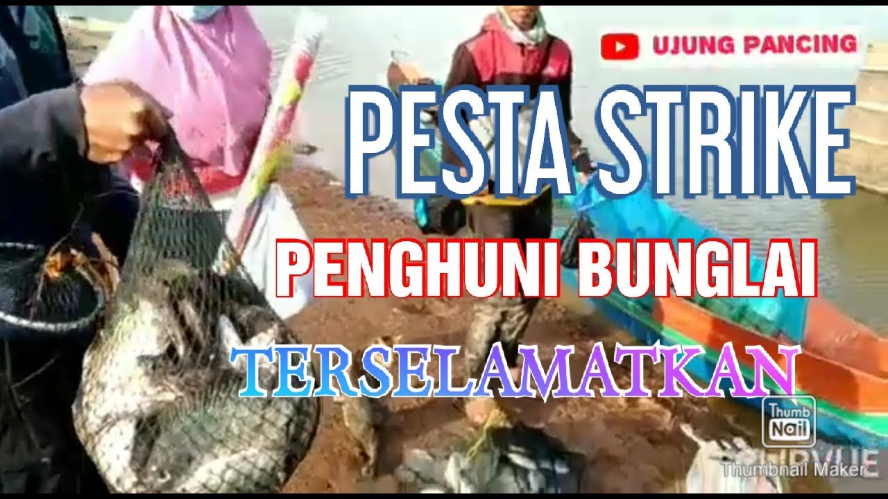 PANEN IKAN||SAAT MANCING NILA DI MUSIM KEMARAU||DESA BUNGLAI||RIAM