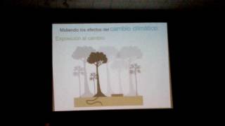 La complejidad de estimar la vulnerabilidad al Cambio Climático en ambientes montañosos anfibios 2/2