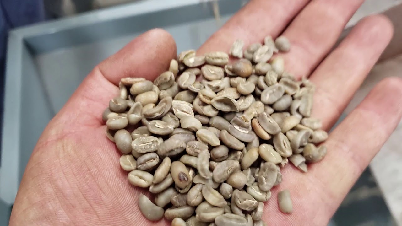 Dry coffee bean processing plant (part 3) YouTube