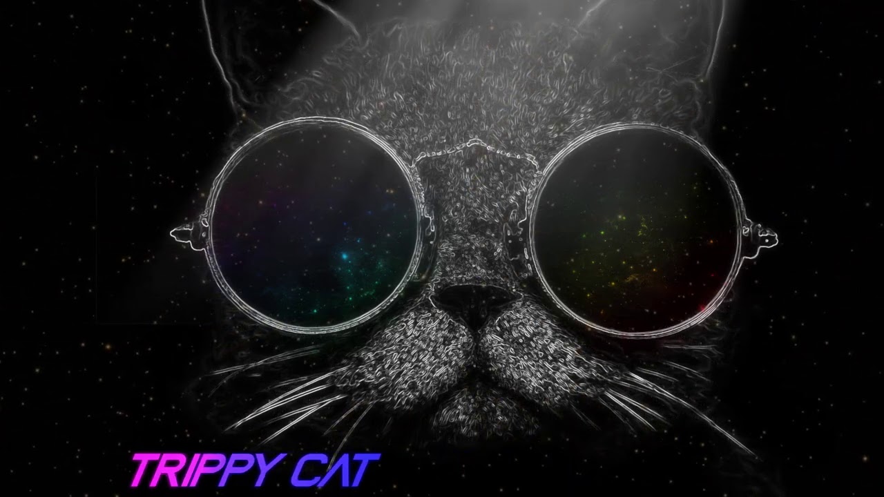 trippy cat wallpaper