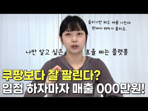   다시 부업 시작하면 스마트 스토어 쿠팡 말고 무조건 여기 입점합니다 올리자마자 매출 낸 노하우 대공개