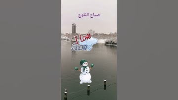 تلاوة جميلة للشيخ ماهر المعيقلي سورة الزلزلة