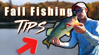 This Bait Owns Fall Bass Fishing