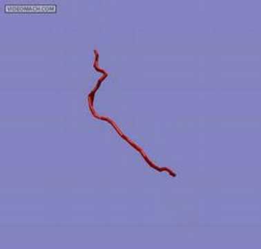 Single Semiflexible Polymer Simulation
