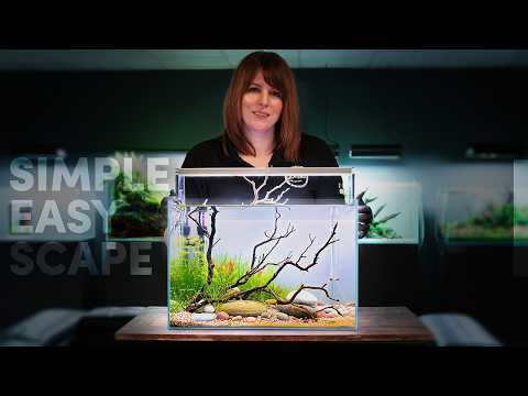 Nano Nature Aquarium 🌿 Manzanita Wood Aquascape | ADA 45P
