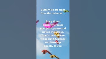 Trust the signs. The universe is always speaking to you. 🦋