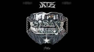 Stray Kids I Like It Acapella