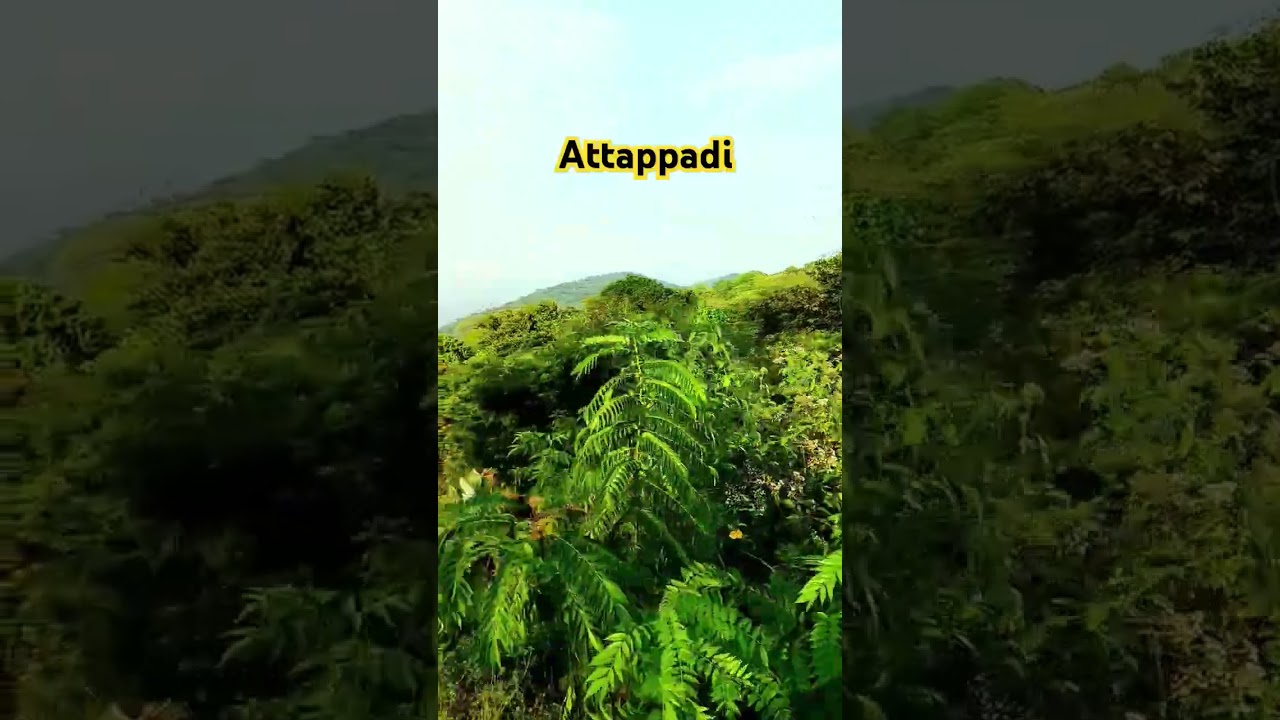 #attappadi