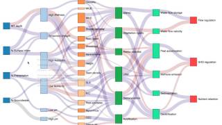 Functional Traits Underlying Wetland Ecosystem Services