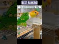 The parrot is full of energy every day #parrot #cute #funny #foryou #funnyvideo #fyp #funnytiktok