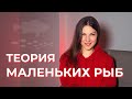 Легкий способ привлечь деньги, мужчину, возможности! Теория Маленьких Рыб