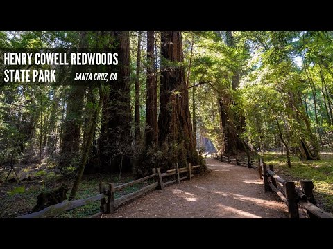 Vídeo: Henry Cowell Redwoods State Park Camping - Pros & Contres