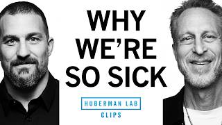 How to Make America Healthy Again | Dr. Mark Hyman & Dr. Andrew Huberman