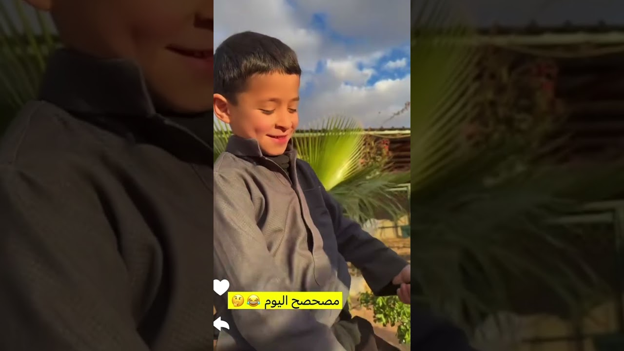 ابو قرون اليوم مصحصح وكسر الشجر / سنابات ابو ناصر