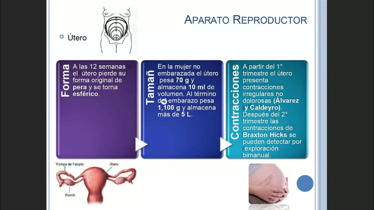 Hipoglucemia tercer trimestre embarazo